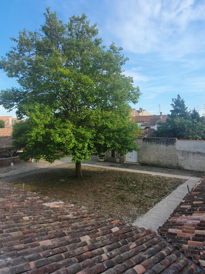 Le Pas Sage Du Marche